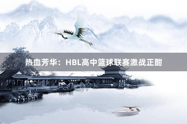 热血芳华：HBL高中篮球联赛激战正酣